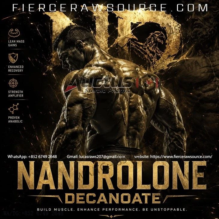 Nandrolone Decanoate(DECA) Top-quality AAS Powder suppliers
