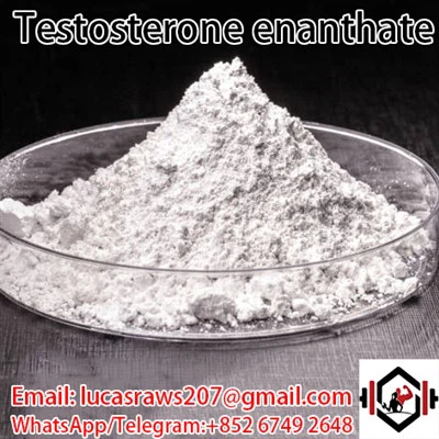 Testosteron Enanthate CAS 315 37 7