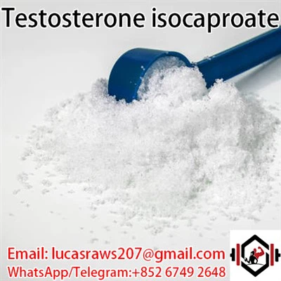 Testosteron isokaproát CAS 15262 86 9