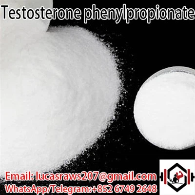 Testosteron Fenylpropionát CAS 1255 49 8